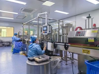 通化 人參產業“新新”向榮，西洋參成新亮點