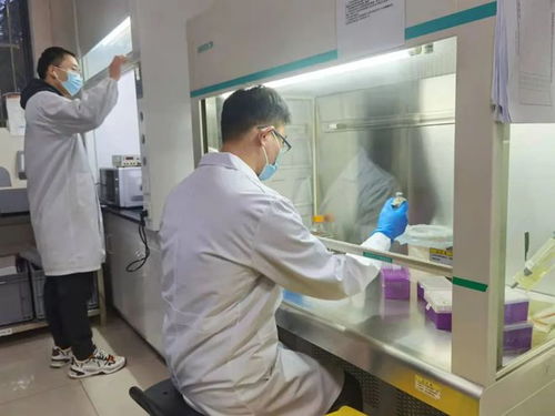 以技術創新踐行社會責任——相城生物醫藥企業戰疫顯擔當