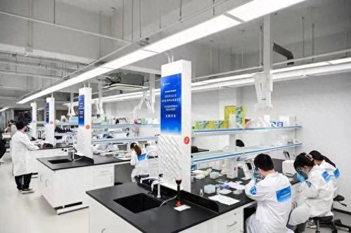 2023年寶山區生物醫藥職業技能競賽個人決賽 聚焦生物化工產品技術研發，激發行業創新活力