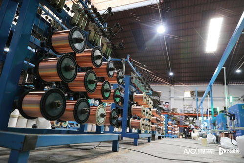 背靠東莞制造，虎門生物化工產品技術研發如何跑向全國